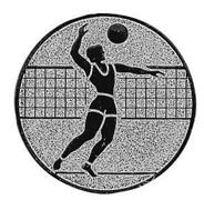 Emblem Volleyball Männer 