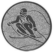 Emblem Ski Alpin Silber 50 mm 