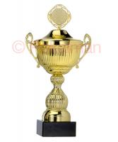 Pokal Bonn