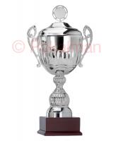 Pokal Bremen