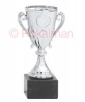 Pokal Middlesbrough