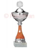 Pokal