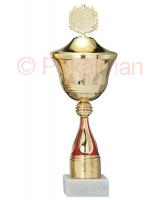 Pokal Halle