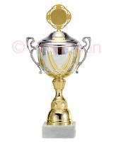Pokal Chemnitz