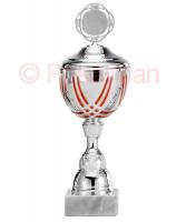 Pokal Braunschweig